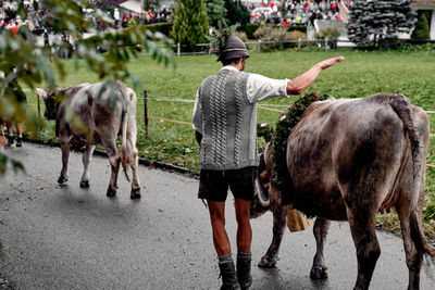 Rear view of man standing horses