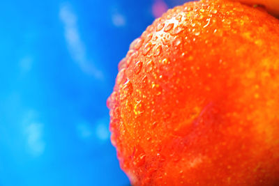 Close-up of orange apple against blue sky