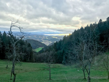 Scenic view of landscape against sky