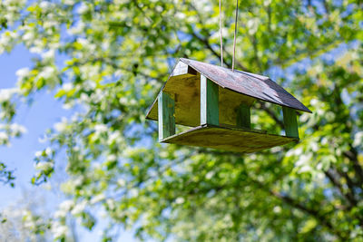 Bird feeder hanging on apple tree. branch of apple tree with bird house. 