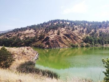 Scenic view of lake by trees against sky