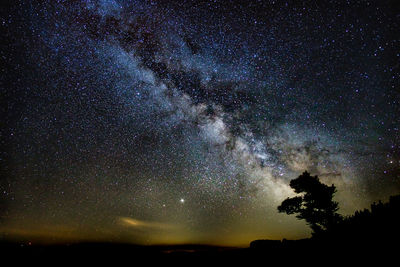Low angle view of silhouette stars against sky at night