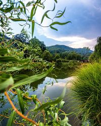 Scenic view of lake against sky