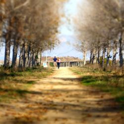 Rear view of person walking on dirt road