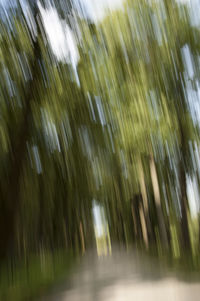 Close-up of water drops on rainy day