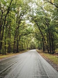 Road amidst trees in forest