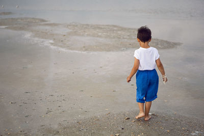 Rear boy child in blue shorts walks by the lake in summer