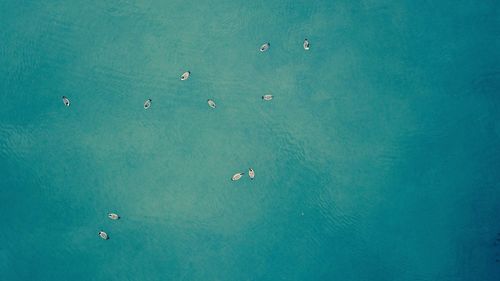 High angle view of people on sea shore