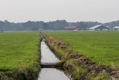 Scenic view of agricultural field against clear sky