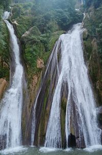 Scenic view of waterfall in forest