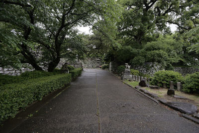 Road amidst trees in park