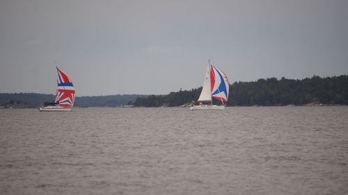 Sailboat sailing in sea