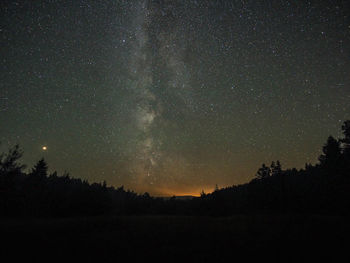 Silhouette trees against star field at night