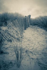 Scenic view of snowy field against sky
