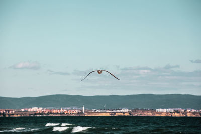 Seagull flying over sea against sky