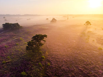 High angle view of trees on landscape against sky during sunset