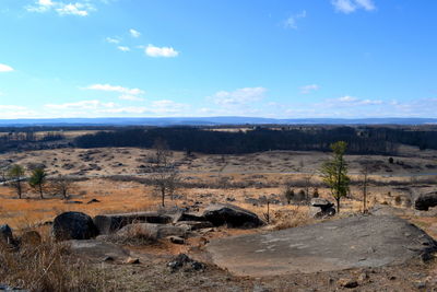 Scenic view of field against sky