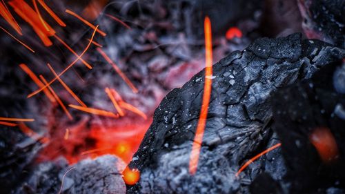 Close-up of bonfire on wood