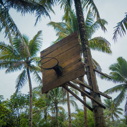 Low angle view of coconut palm tree against sky