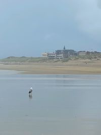 Man on beach against sky