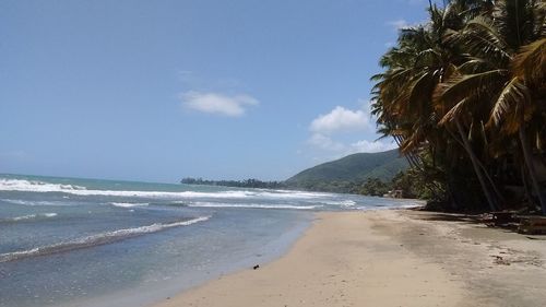 Scenic view of beach against blue sky