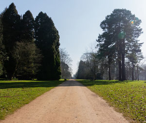 Road amidst trees on field against sky