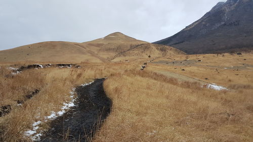 Scenic view of field and mountains against sky