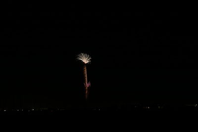 Illuminated fireworks against sky at night