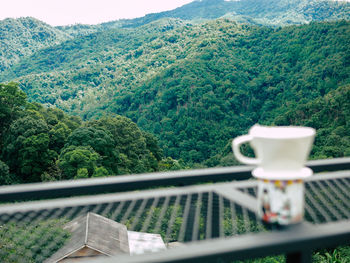 High angle view of trees and plants seen through railing