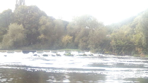 Scenic view of river in forest against sky