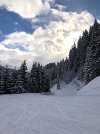 Snow covered land and trees against sky