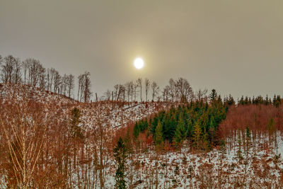 Scenic view of snow covered landscape against sky