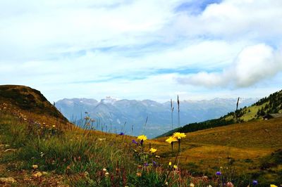 Scenic view of landscape against sky