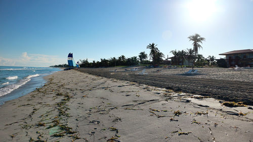 Scenic view of beach against clear sky