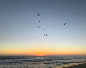 Scenic view of birds flying above the sunset