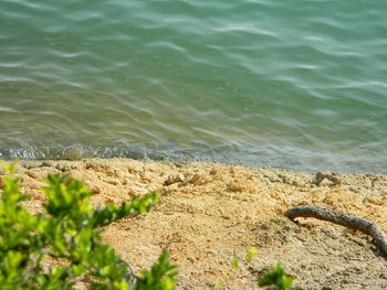 High angle view of beach