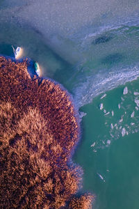 Aerial shot of sailboats and reed on frozen lake