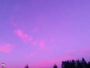 Low angle view of trees against sky during sunset