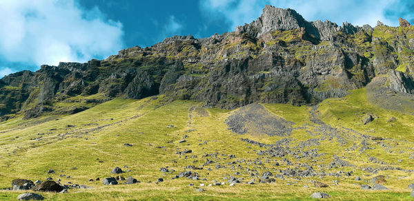 Panoramic view of green landscape