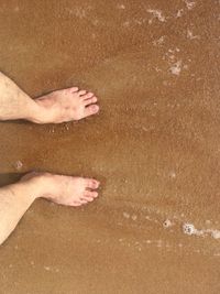 Low section of person on wet sand at beach