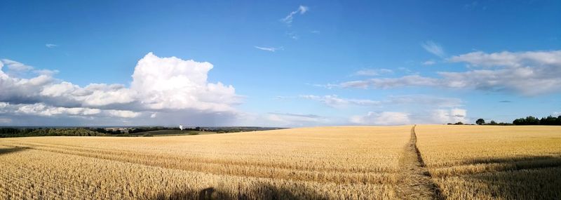 Scenic view of agricultural field against sky