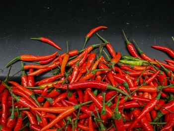 High angle view of red chili peppers