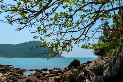 Scenic view of sea against clear sky