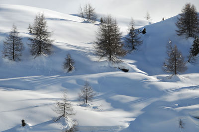 Snow covered land and trees against sky