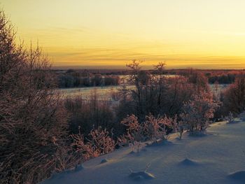 Scenic view of snow field against sky during sunset