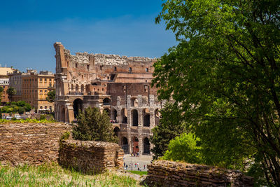 Tourists visiting the famous colosseum in rome in a beautiful early spring day