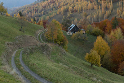 Scenic view of landscape