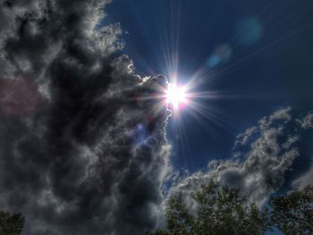 Low angle view of trees against sky