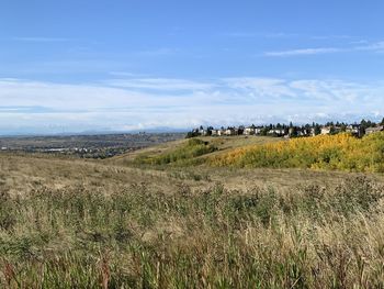 Scenic view of field against sky