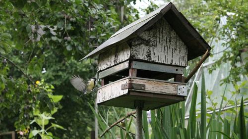 Close-up of bird house